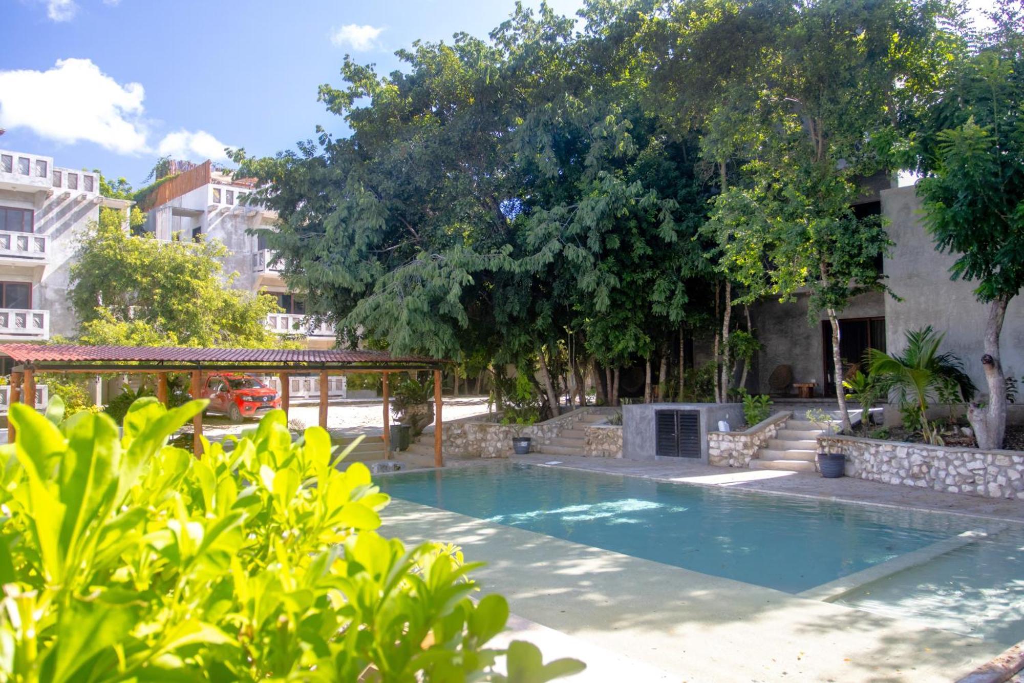 Hotel Casa Tortuga Tulum - Cenotes Park Inclusive Exterior foto The swimming pool at the hotel