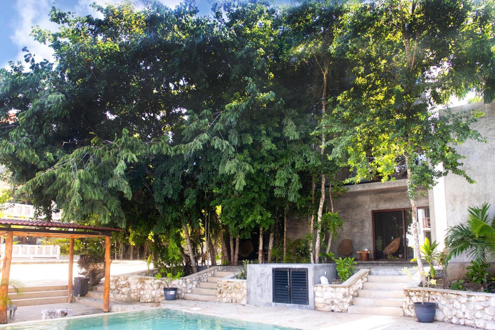 Hotel Casa Tortuga Tulum - Cenotes Park Inclusive Exterior foto Casa Periódica, Mérida, Yucatán, Mexico