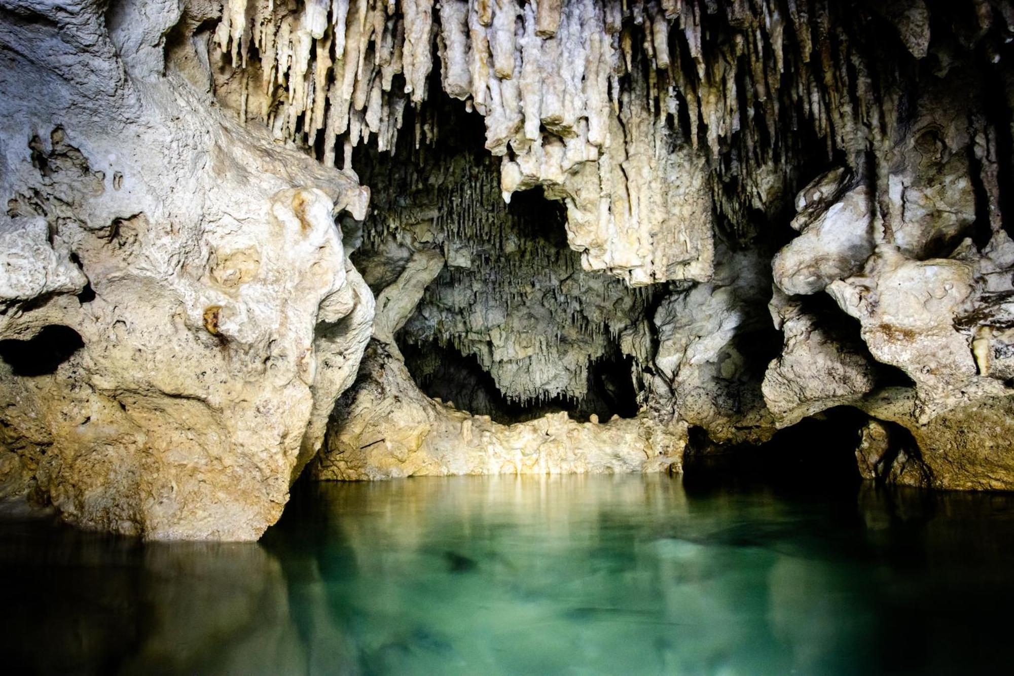 Hotel Casa Tortuga Tulum - Cenotes Park Inclusive Exterior foto Cenote