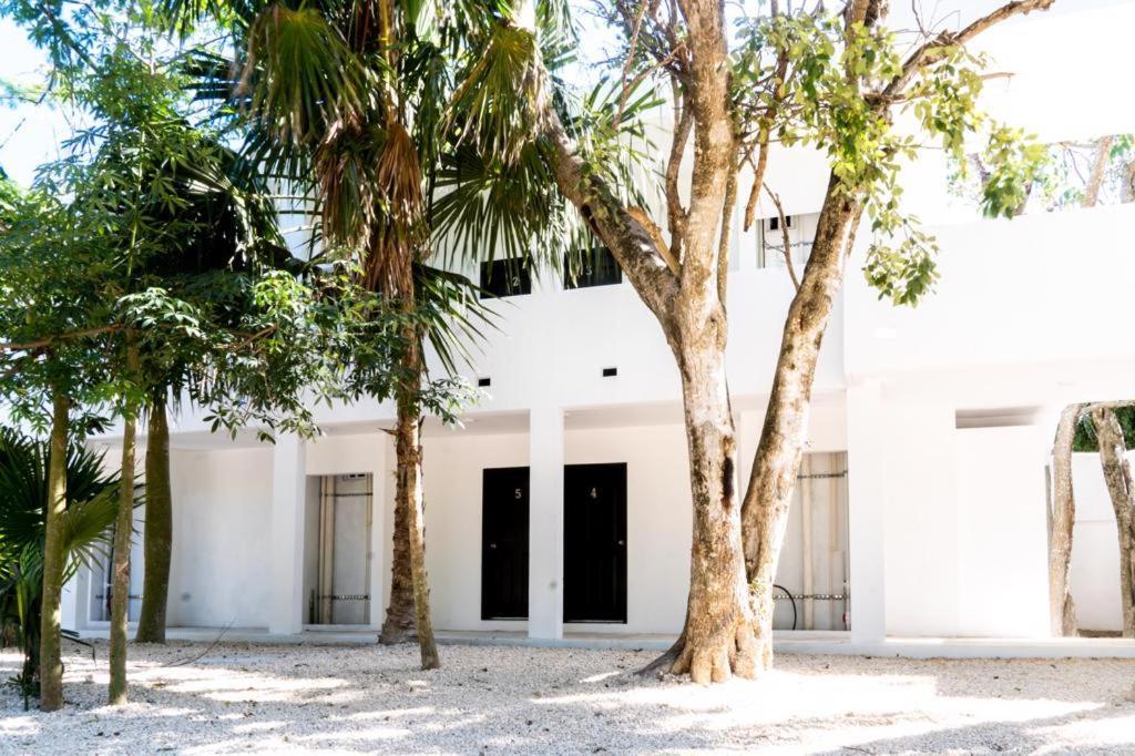 Hotel Casa Tortuga Tulum - Cenotes Park Inclusive Exterior foto The house of the writer, in Mérida, Yucatán.